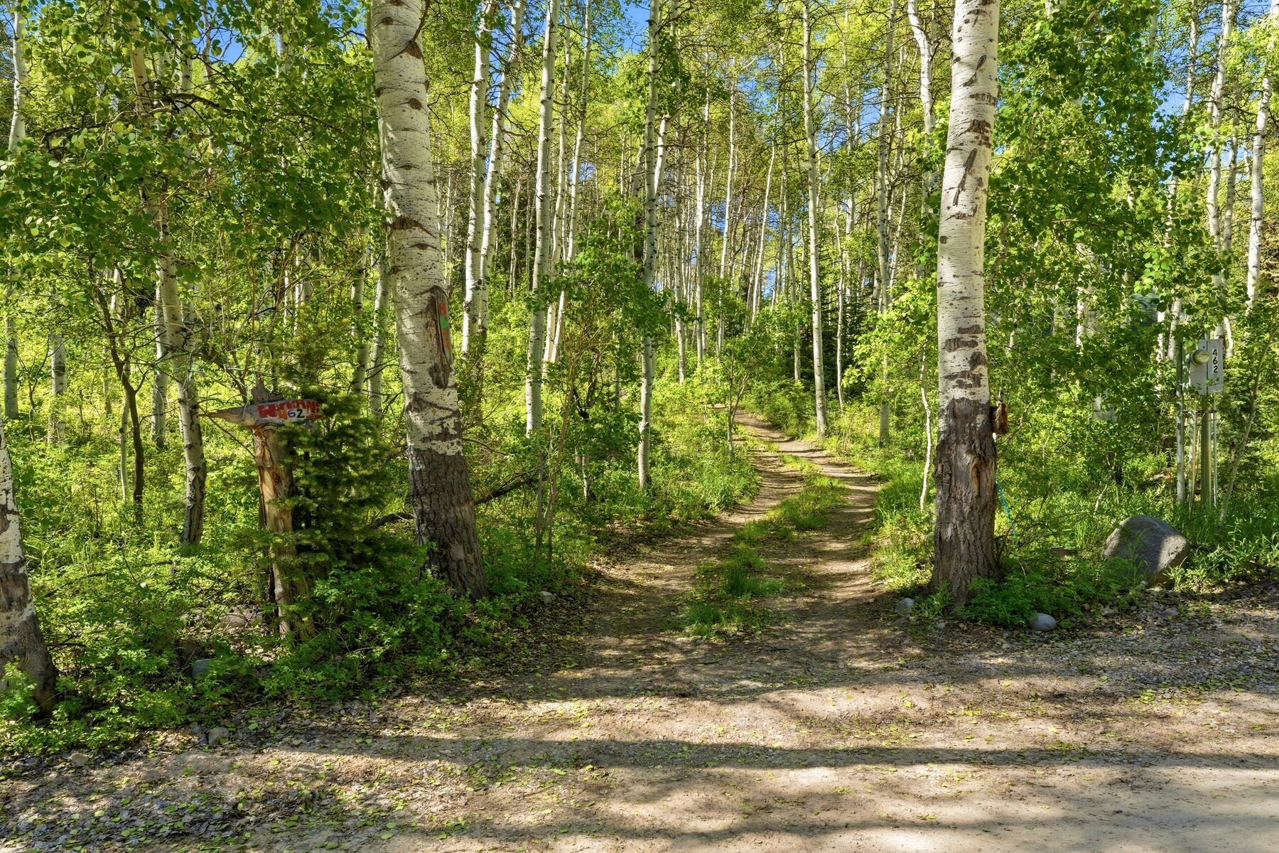 Secluded wooded one-acre lot with mature trees at 11106 E Green Briar Heber City